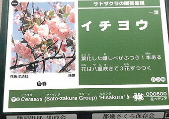 埼玉県の「川の国応援隊」として登録