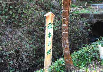 埼玉県の「川の国応援隊」として登録