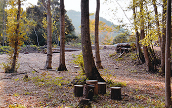 小倉城２の城郭平場