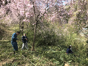 谷組花の会、日影谷地区の里山再生と景観保全